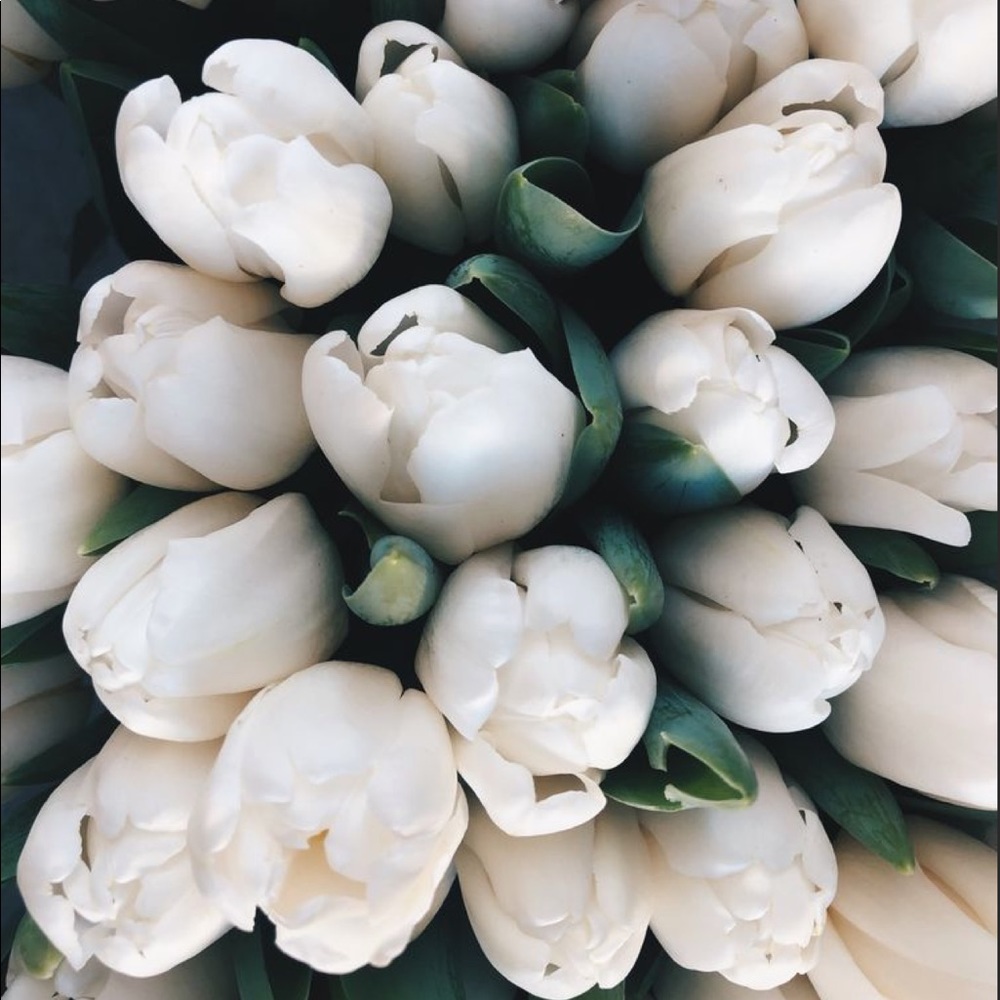 DO NOT COMMENT SPAM‼️